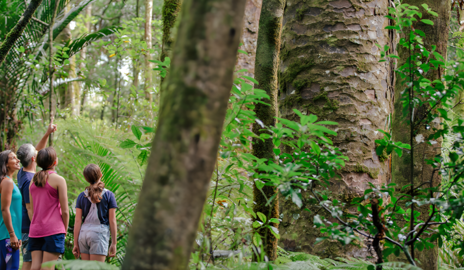 Home page banner (22)